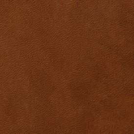 Braun Lederfarbe